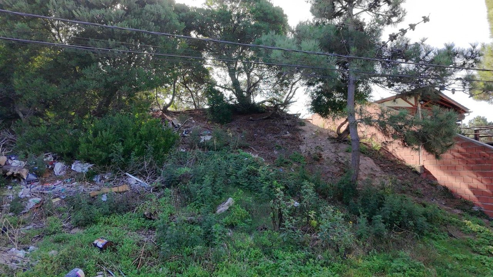 Oportunidad Unica en el Corazon de Villa Gesell - Lote Ideal para Desarrollo Residencial o Turistico
