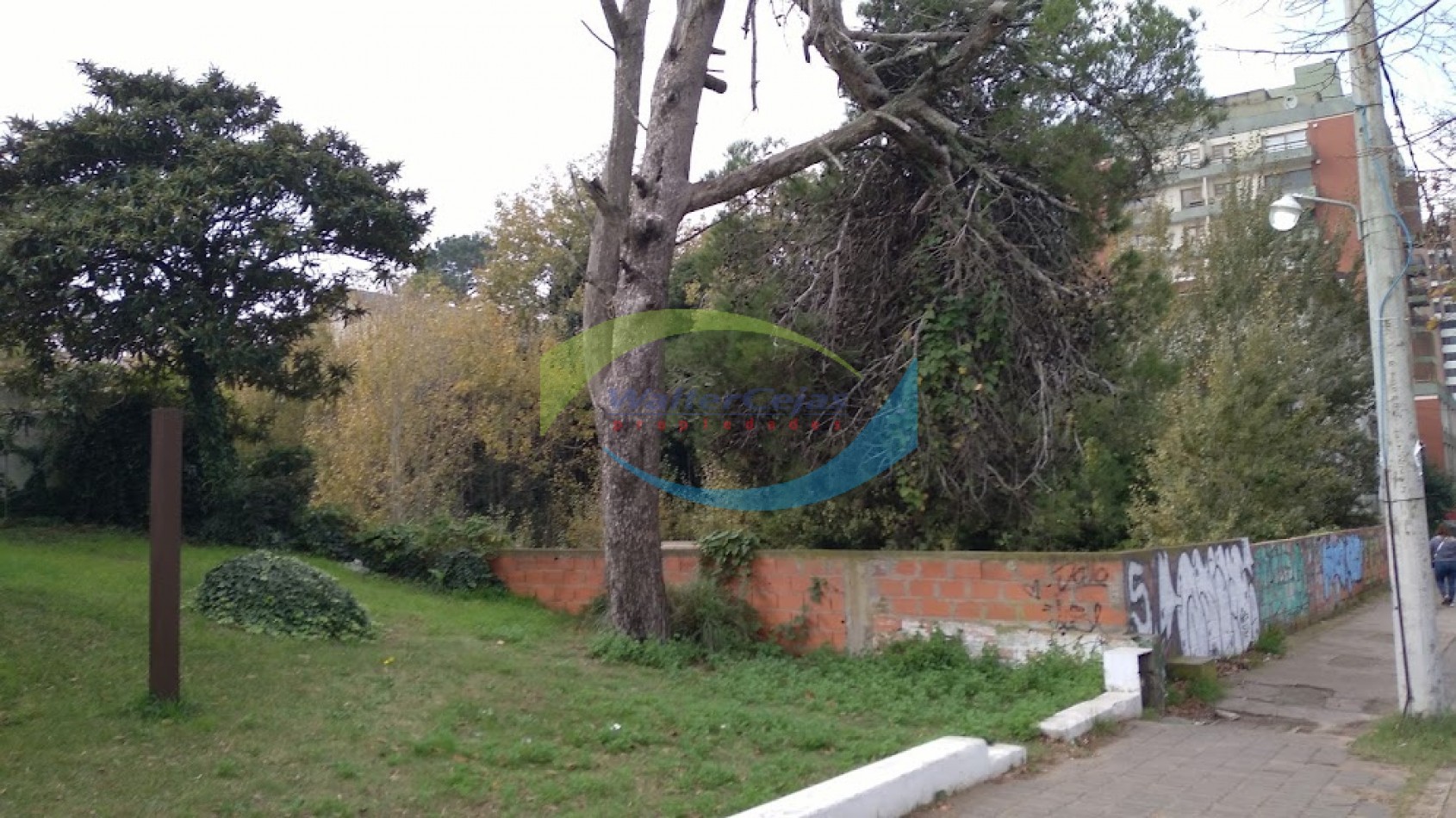 Exclusiva Oportunidad de Desarrollo en el Centro de Pinamar