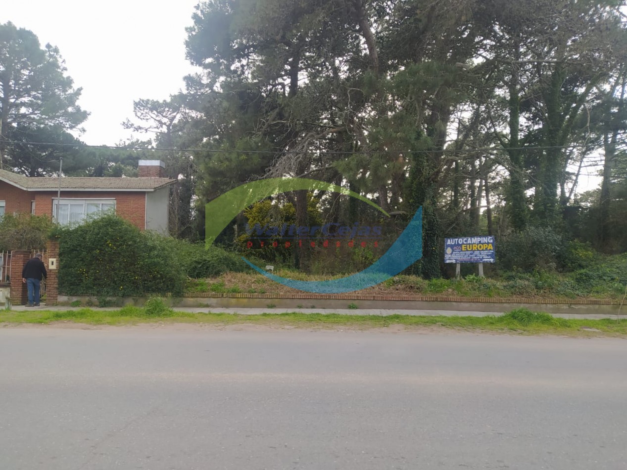 Lote 