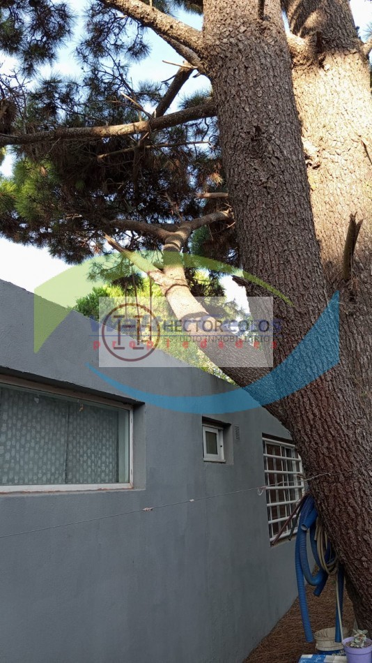 CASA 3 AMBIENTES  + MONOAMBIENTE EN VENTA - MAR DE OSTENDE 