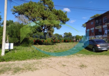 LOTE MULTIFAMILIAR